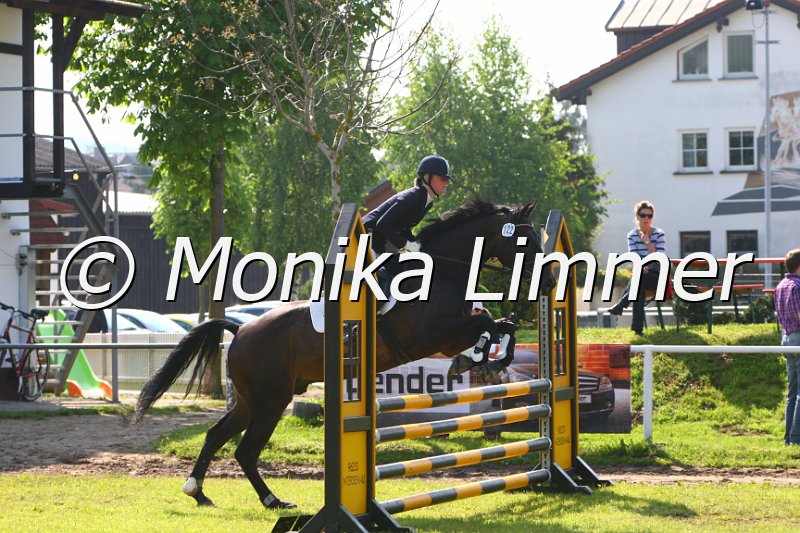 005M4139_Florimondo_Stil A.JPG